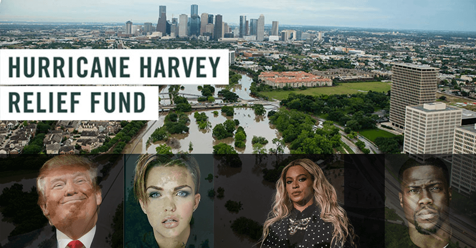 donated to Hurricane Harvey relief as % of net worth