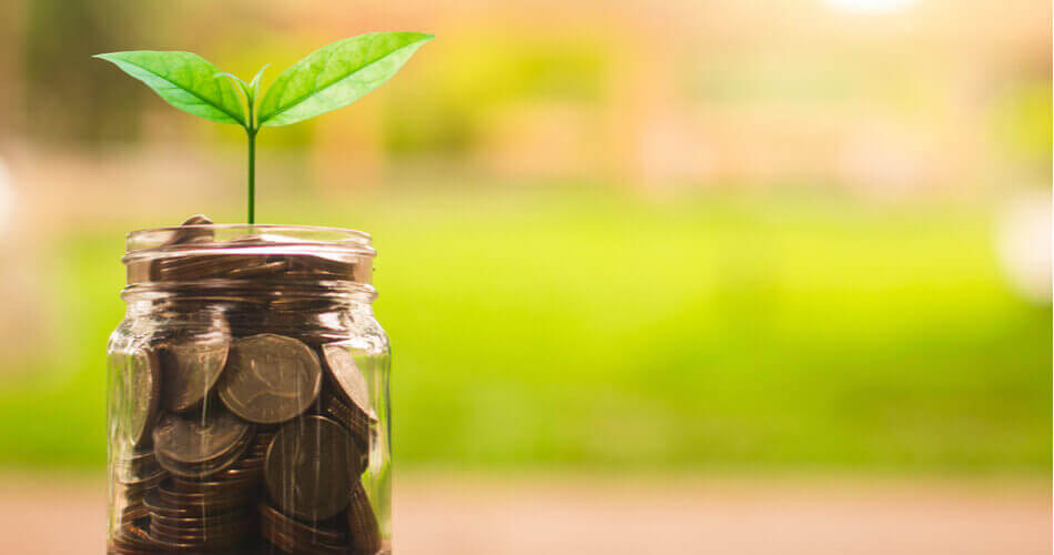 Jar of coins with a plant growing out of the top