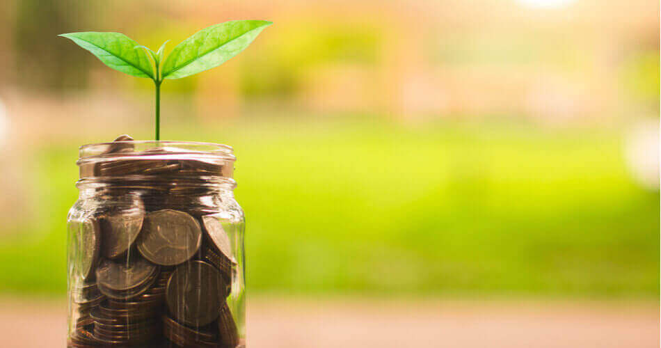 Jar of coins with a plant growing out of the top