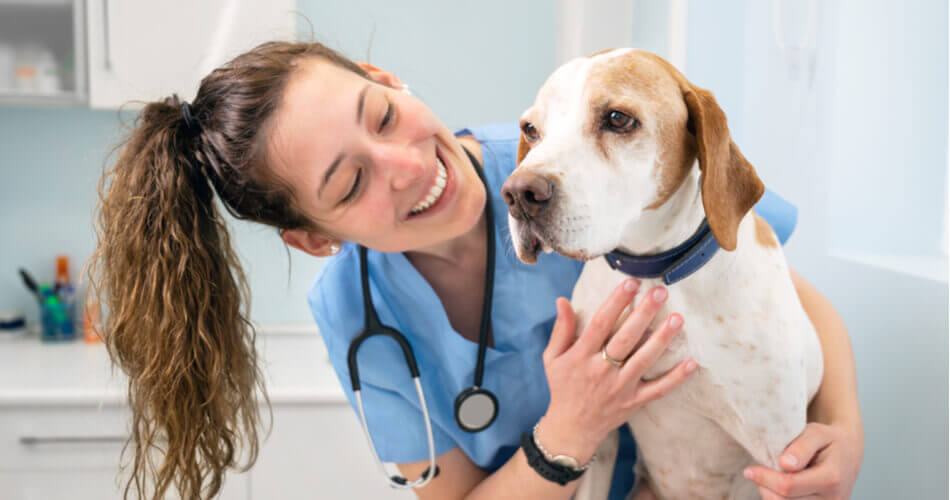 Young woman in scrubs leaning over and smiling at a dog