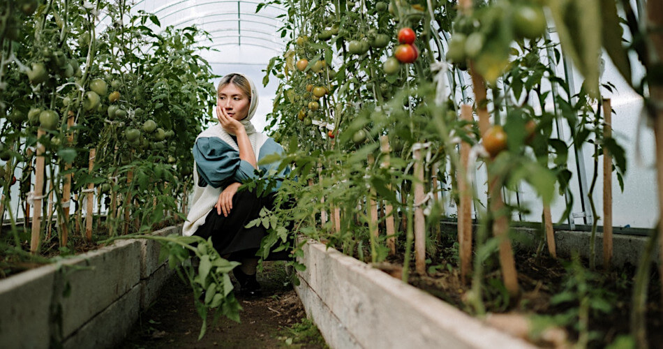 Pensive female farmer in greenhouse with tomato plants thinking about taxes