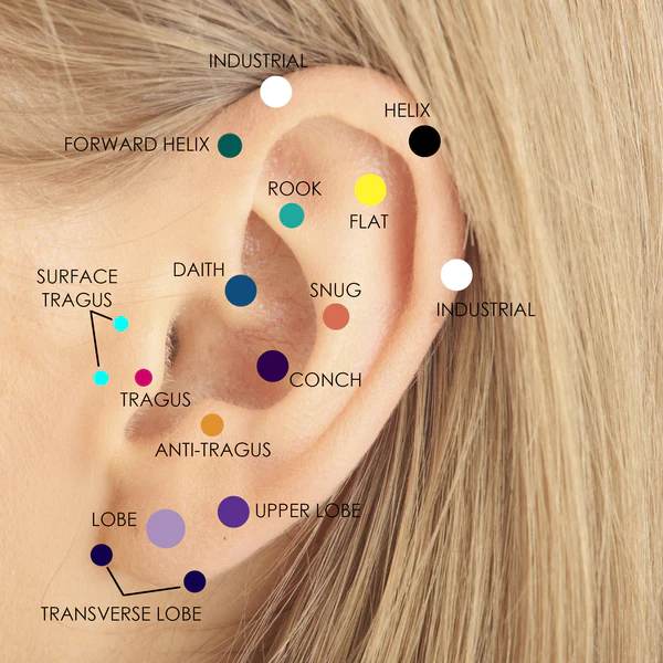 How To Get Your Ears Pierced | vlr.eng.br