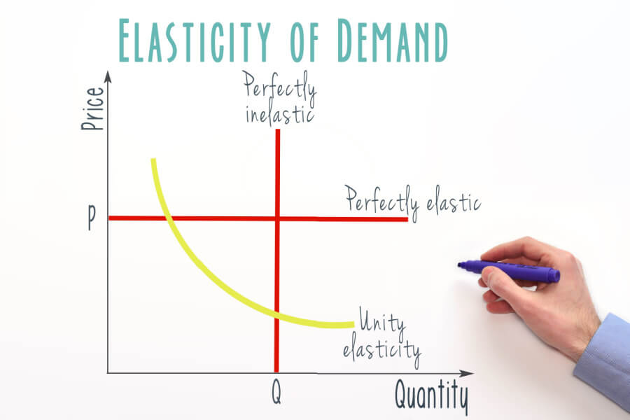 Elasticity in Economics: Definition, Calculation, and Examples - SuperMoney