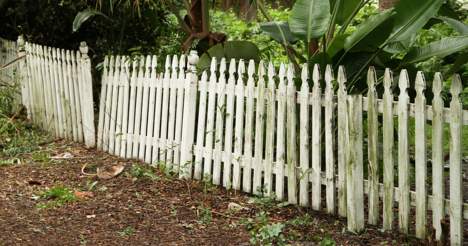 A dilapidated white picket fence