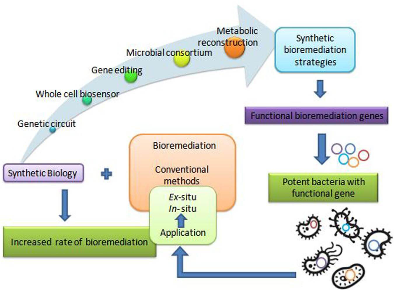 Bioremediation: Benefits, Examples, and How It Works - SuperMoney